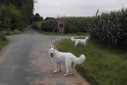 Mama Coralie & Elektra